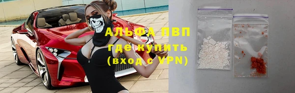 гидра Заводоуковск