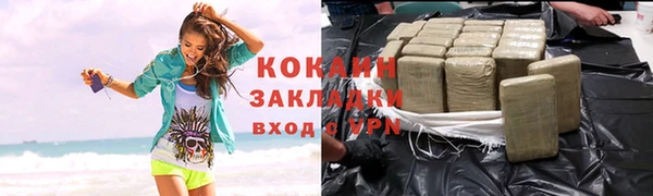 гидра Заводоуковск