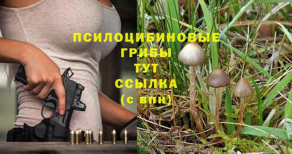 не бодяженный Ельня